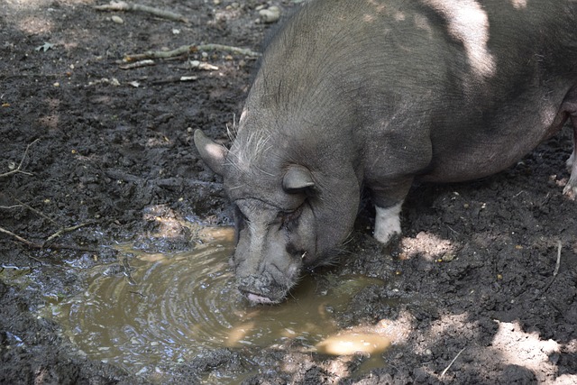 命运转折点 命运转折点