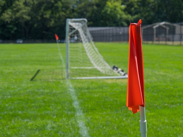 在对抗中保 在对抗中保