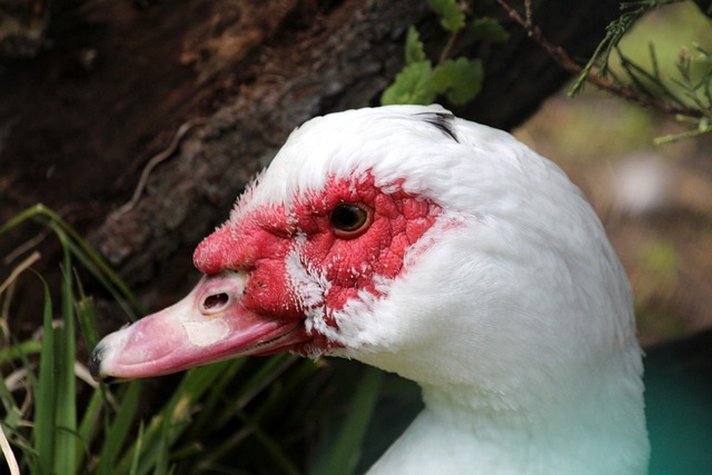有了更深刻 有了更深刻