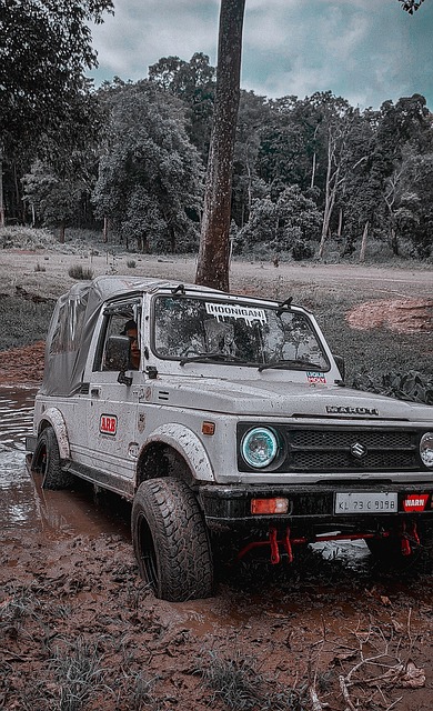 转变为一个 转变为一个